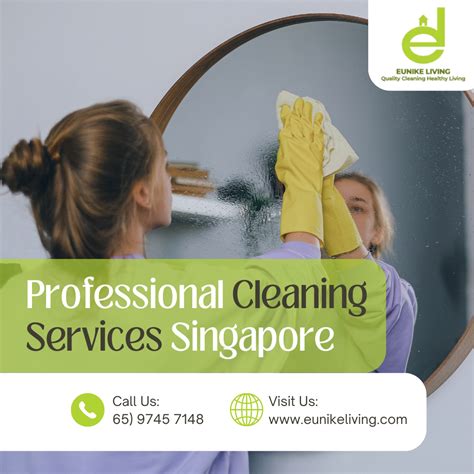 professional cleaning services singapore